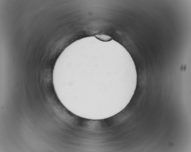 X0000110900085200907161602