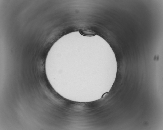 X0000110900086200907161602