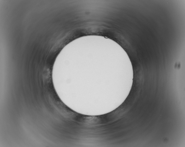 X0000110900087200907161602