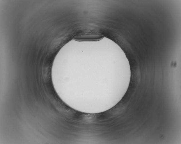 X0000110900088200907161603