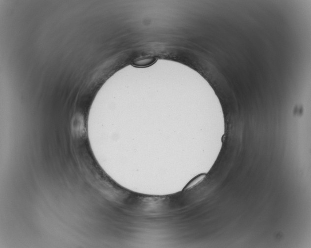 X0000110900089200907161603