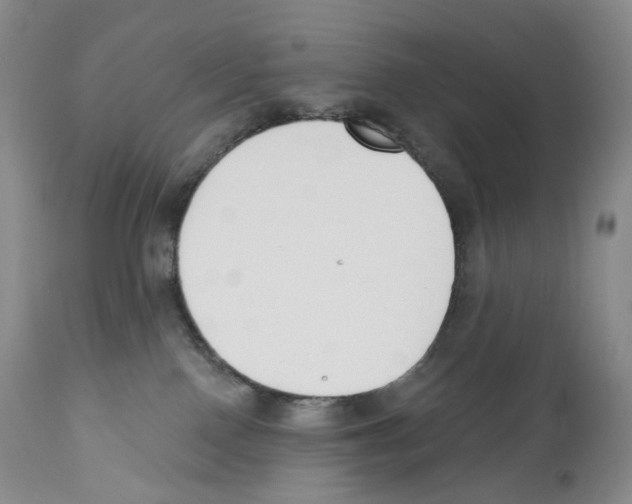 X0000110900090200907161603