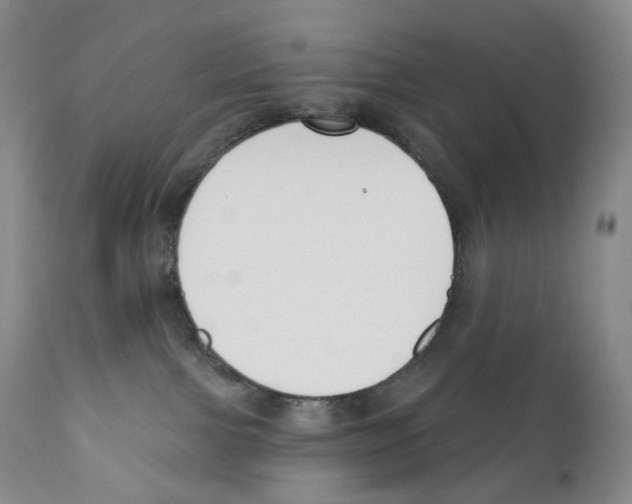 X0000110900091200907161603