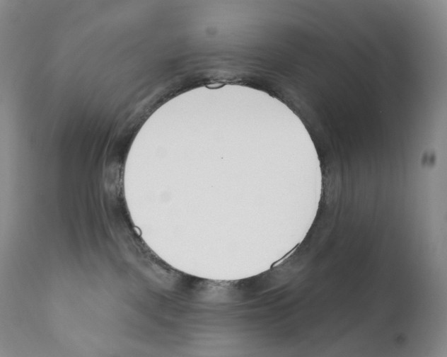 X0000110900093200907161603