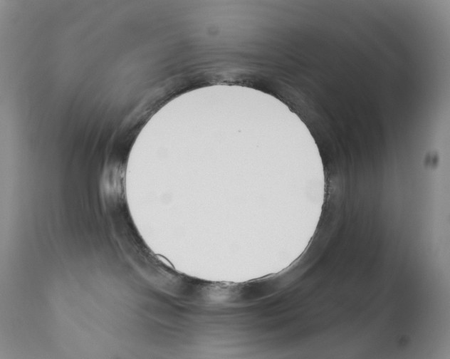 X0000110900094200907161603