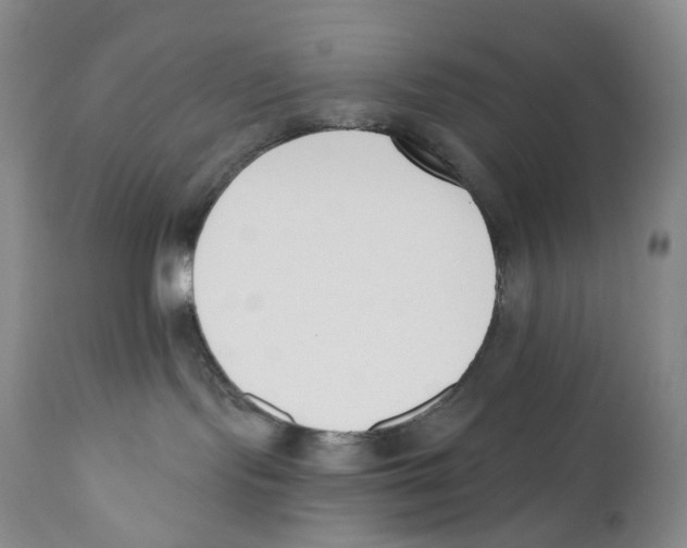 X0000110900095200907161603