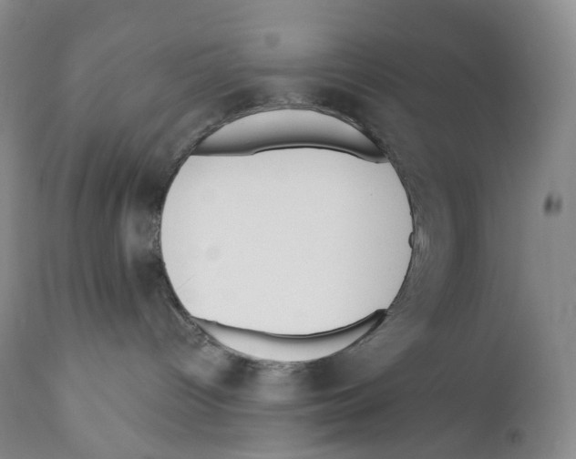 X0000110900096200907161603