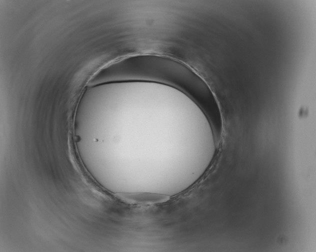 X0000110900097200907161602