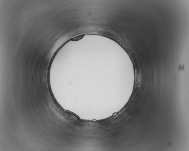 X0000110900099200907161602