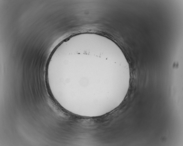 X0000110900100200907161602