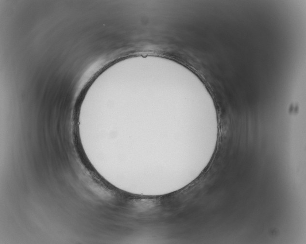 X0000110900102200907161602