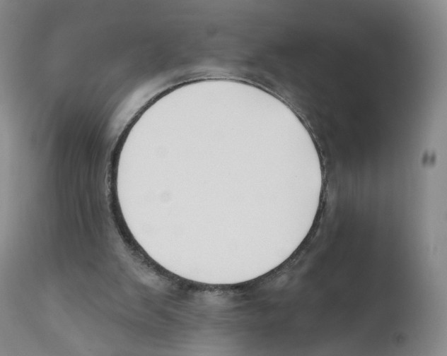 X0000110900103200907161602