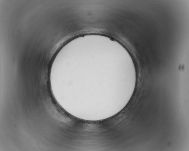 X0000110900107200907161602