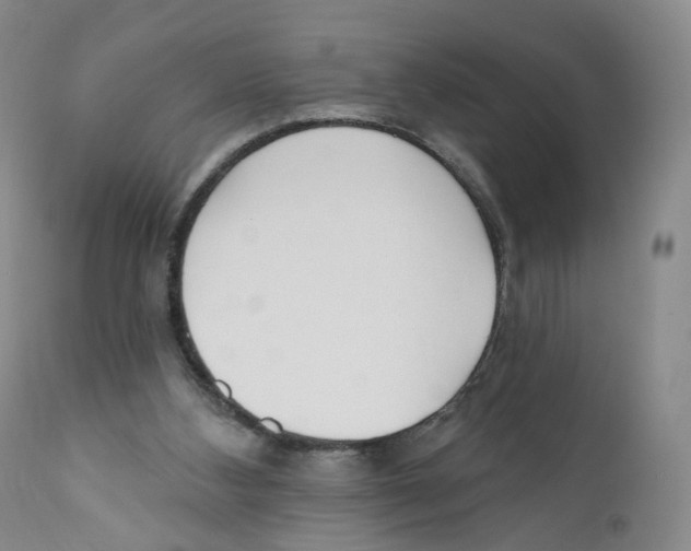 X0000110900108200907161602