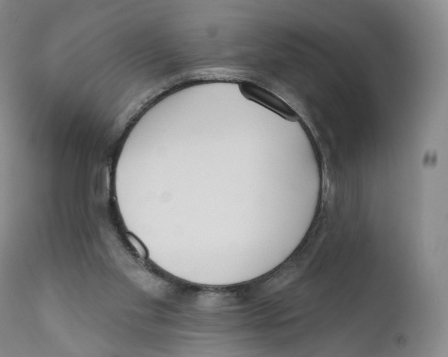 X0000110900109200907161602