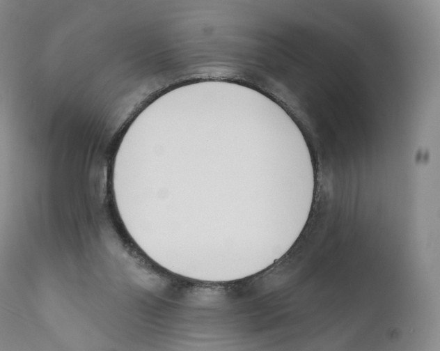 X0000110900110200907161602