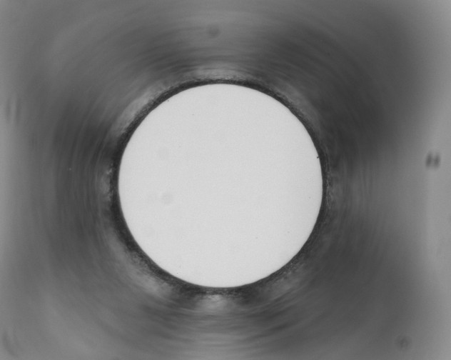 X0000110900111200907161602