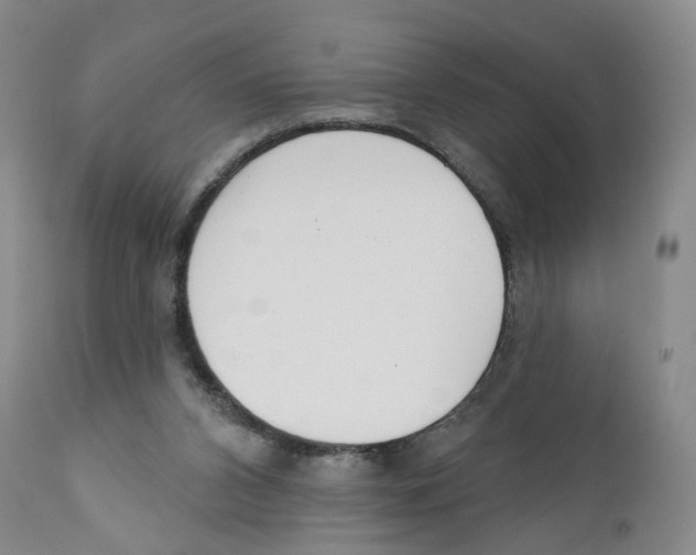 X0000110900112200907161602