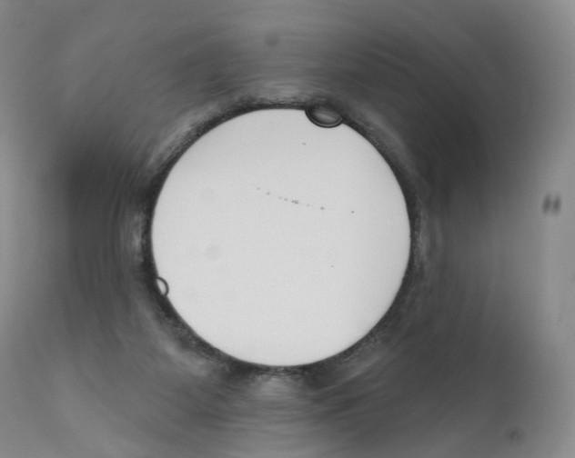 X0000110900115200907161602