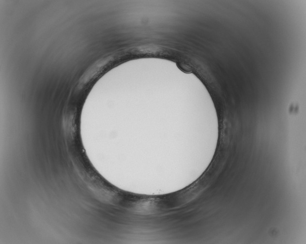 X0000110900116200907161602