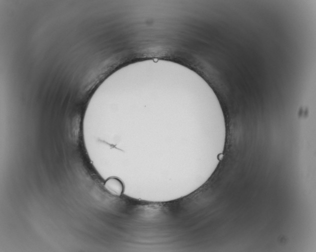 X0000110900118200907161602