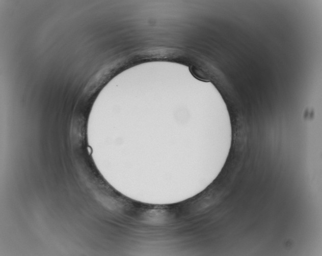 X0000110900119200907161602