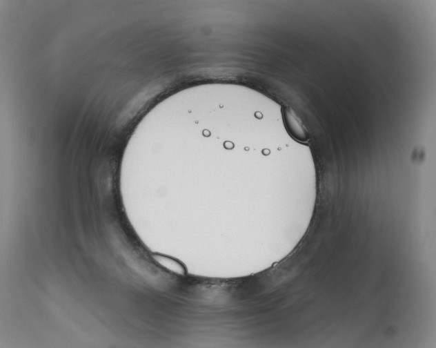 X0000110900120200907161602