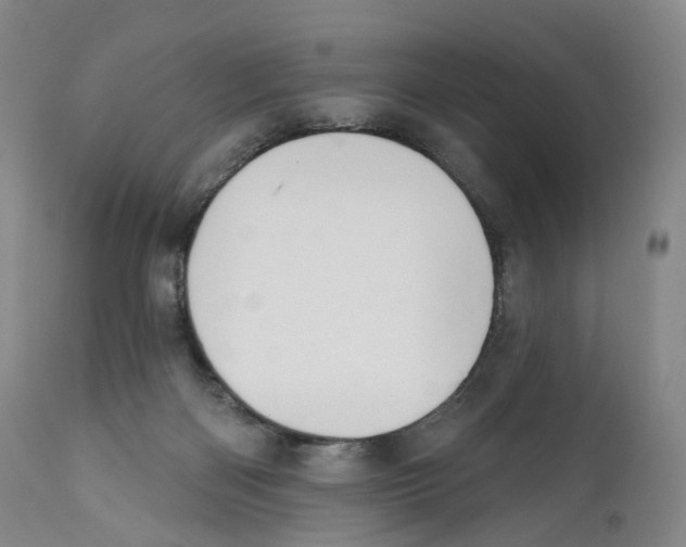 X0000110900122200907161602