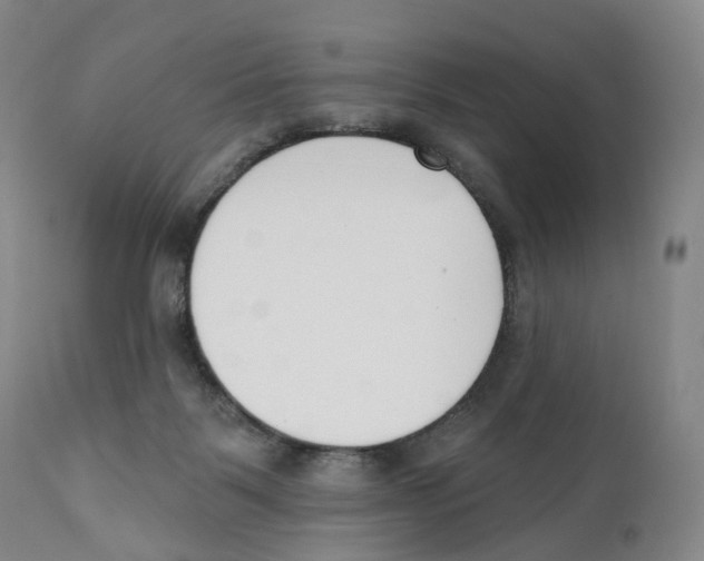 X0000110900123200907161601