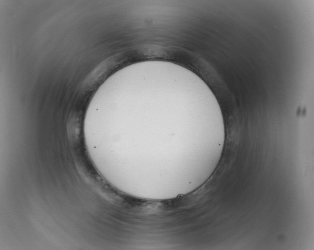 X0000110900124200907161601