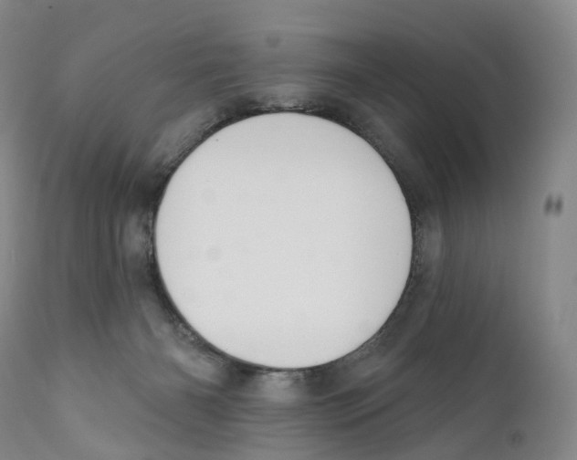 X0000110900126200907161601