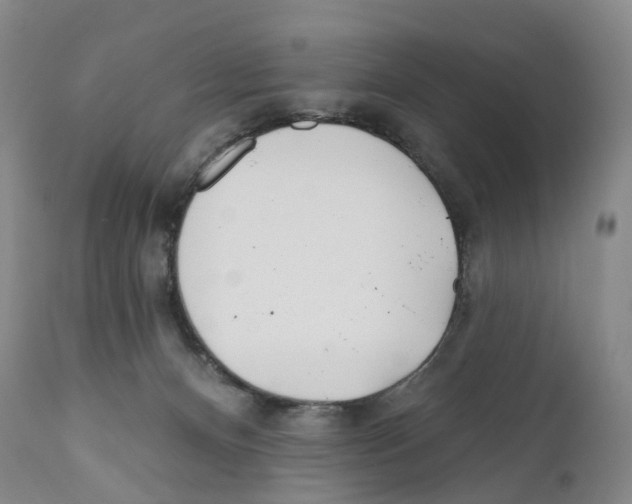 X0000110900128200907161601