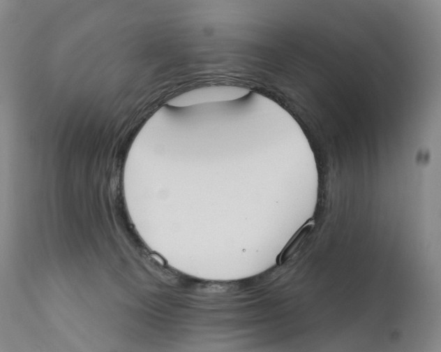 X0000110900129200907161601