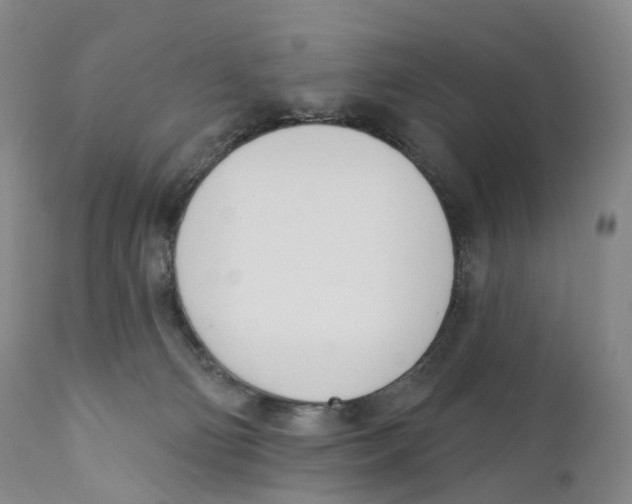 X0000110900130200907161601