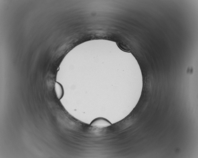 X0000110900135200907161601