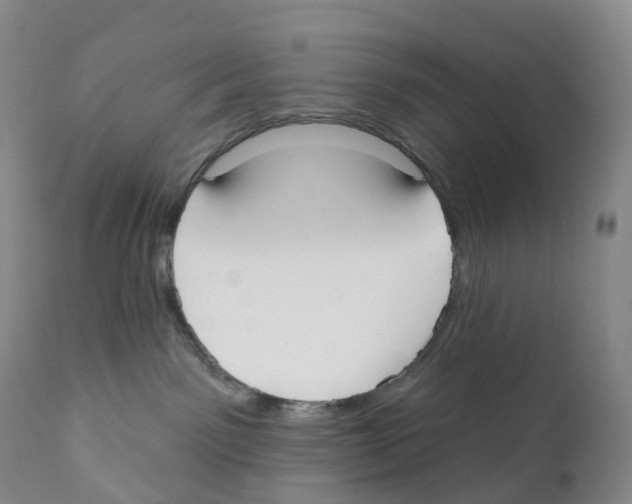 X0000110900141200907161601