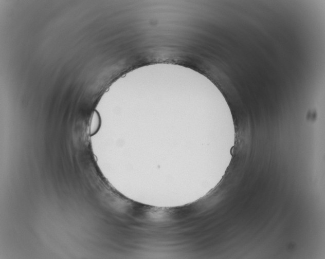 X0000110900142200907161601