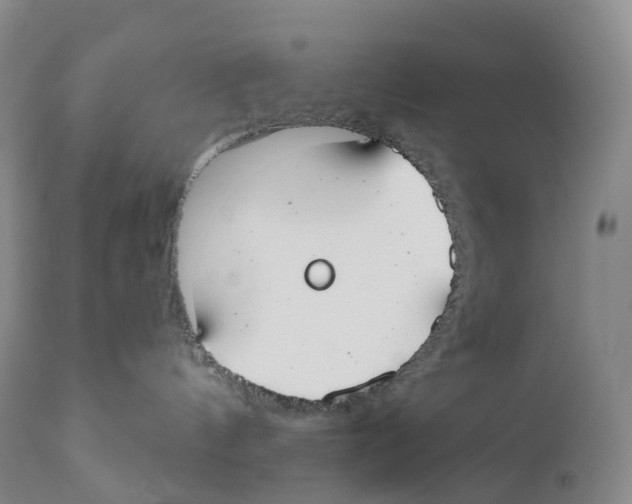 X0000110900144200907161601