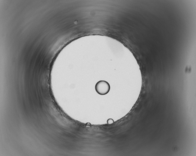 X0000110900146200907161600