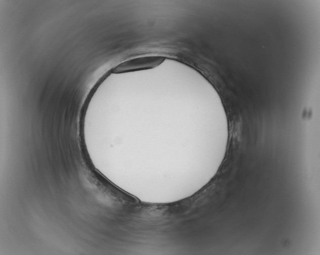 X0000110900148200907161600