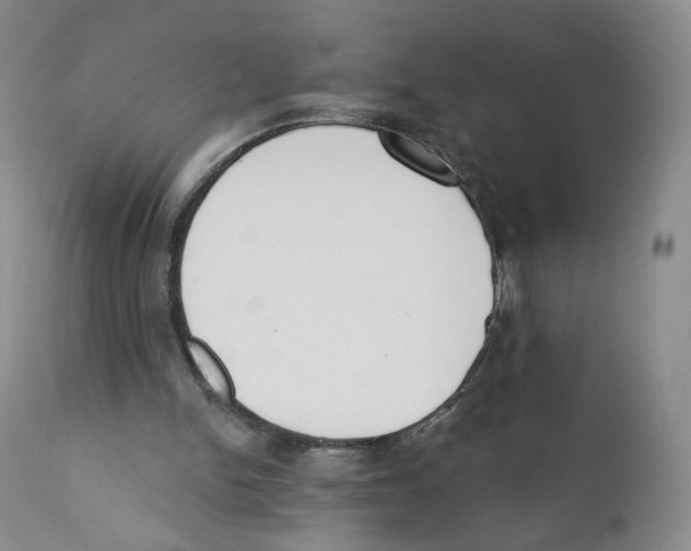 X0000110900150200907161600