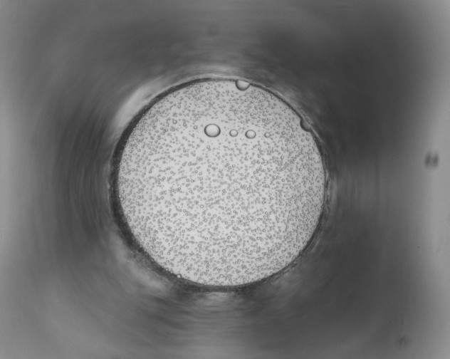 X0000110900151200907161600