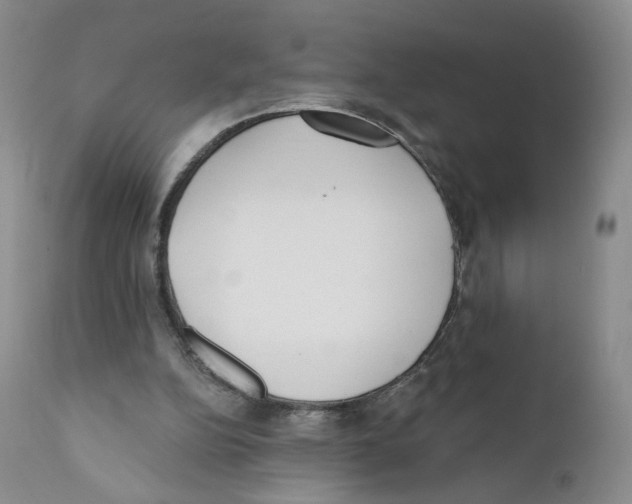 X0000110900152200907161600