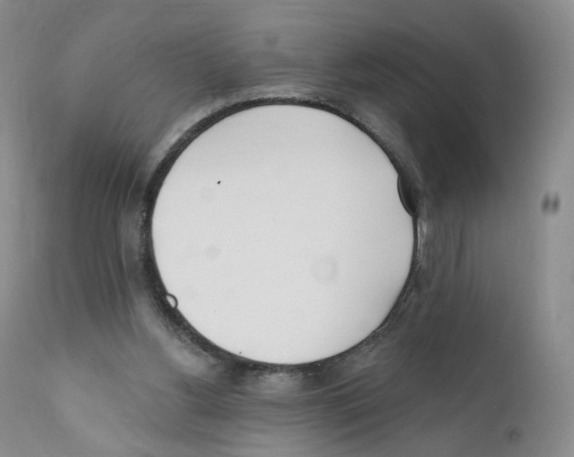 X0000110900156200907161600