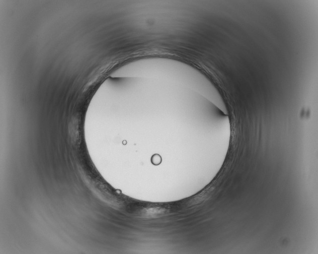 X0000110900158200907161600