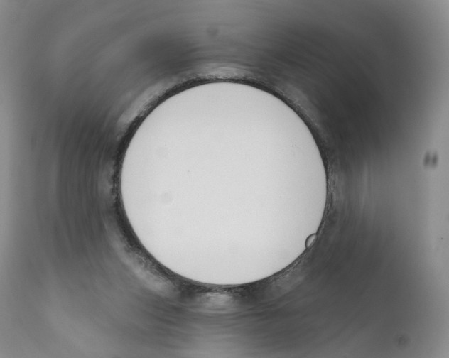 X0000110900159200907161601