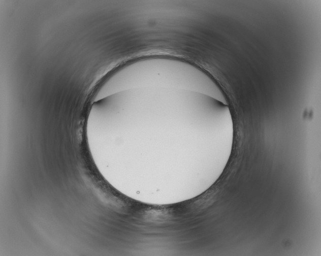 X0000110900160200907161601