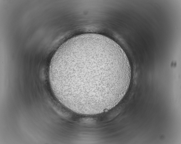 X0000110900161200907161601