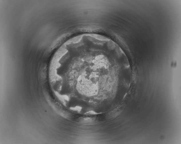 X0000110900163200907161601