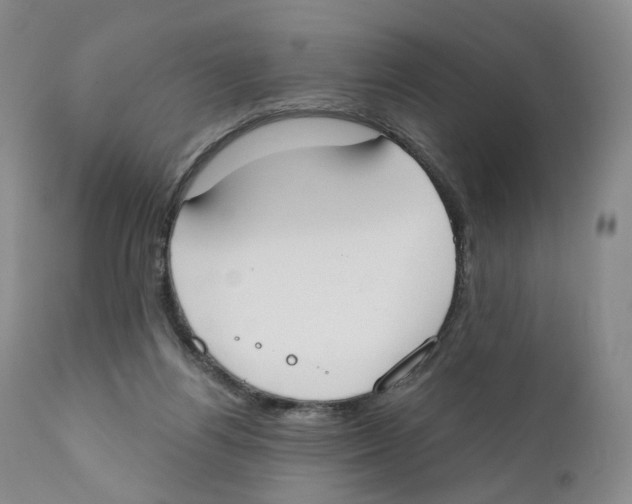 X0000110900164200907161601